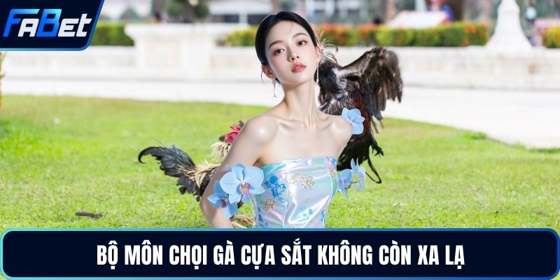 Bộ môn chọi gà cựa sắt không còn xa lạ