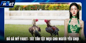 Đá gà Mỹ FABET